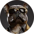 kevin_hasselt